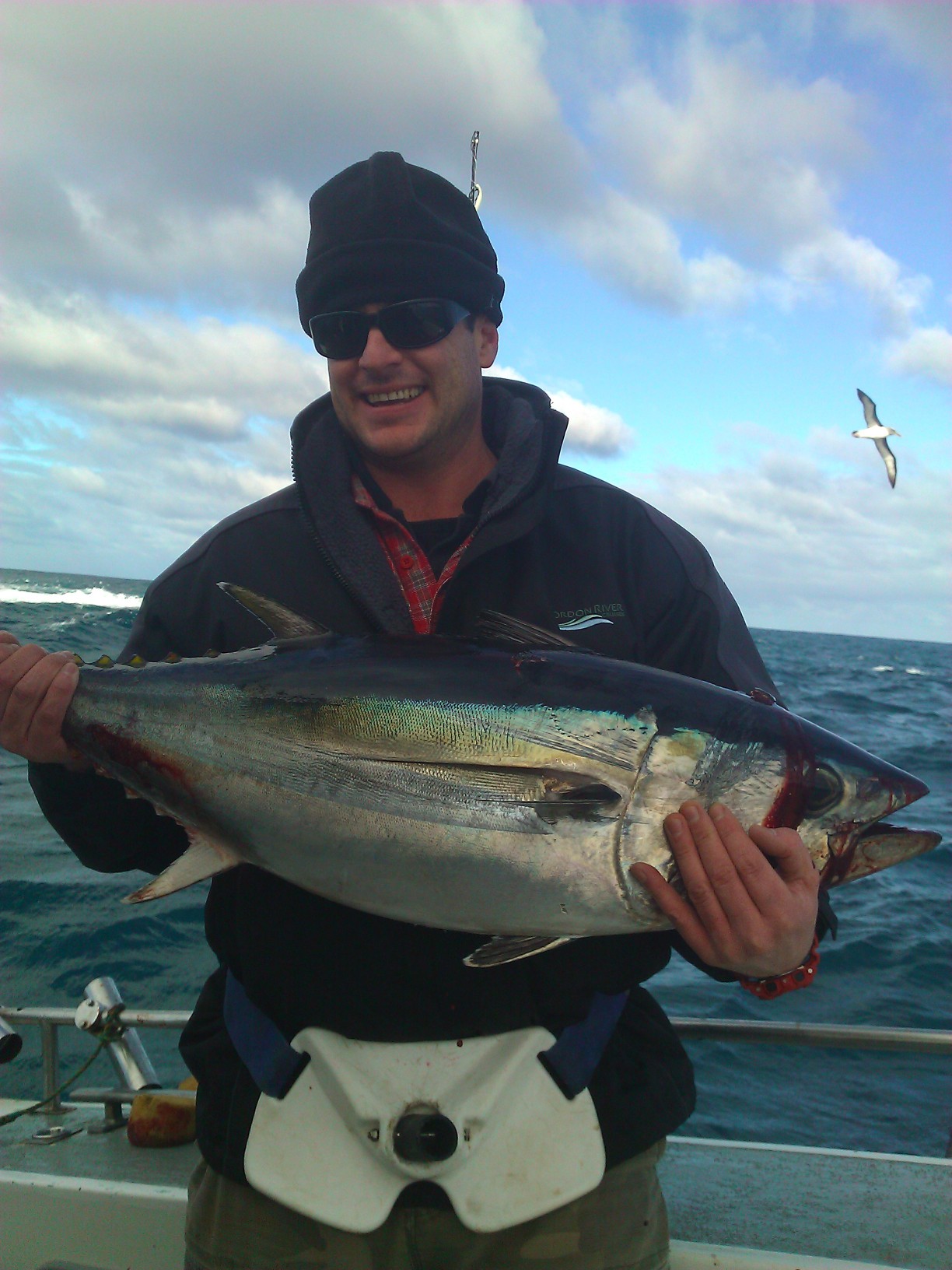 Tasmanian Tuna Fishing Reports DECKEE Community